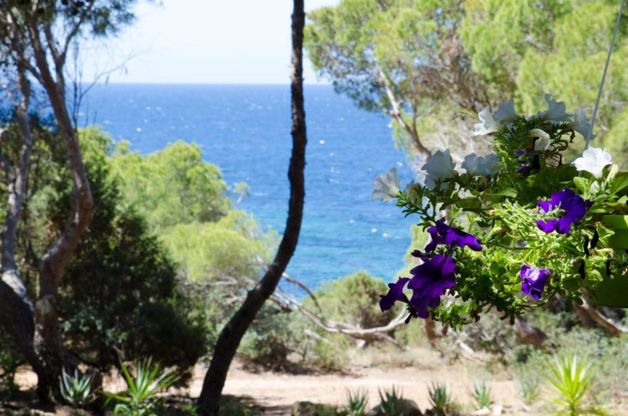 Buonumore Porto Pino